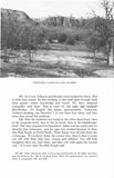 A Navajo Bringing–Home Ceremony: The Claus  Chee Sonny Version of Deerway Ajiłee
