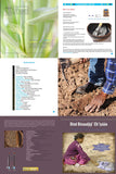 Navajo Corn Recipes: Diné Binaadaą́ą́’ Ch’iyáán
